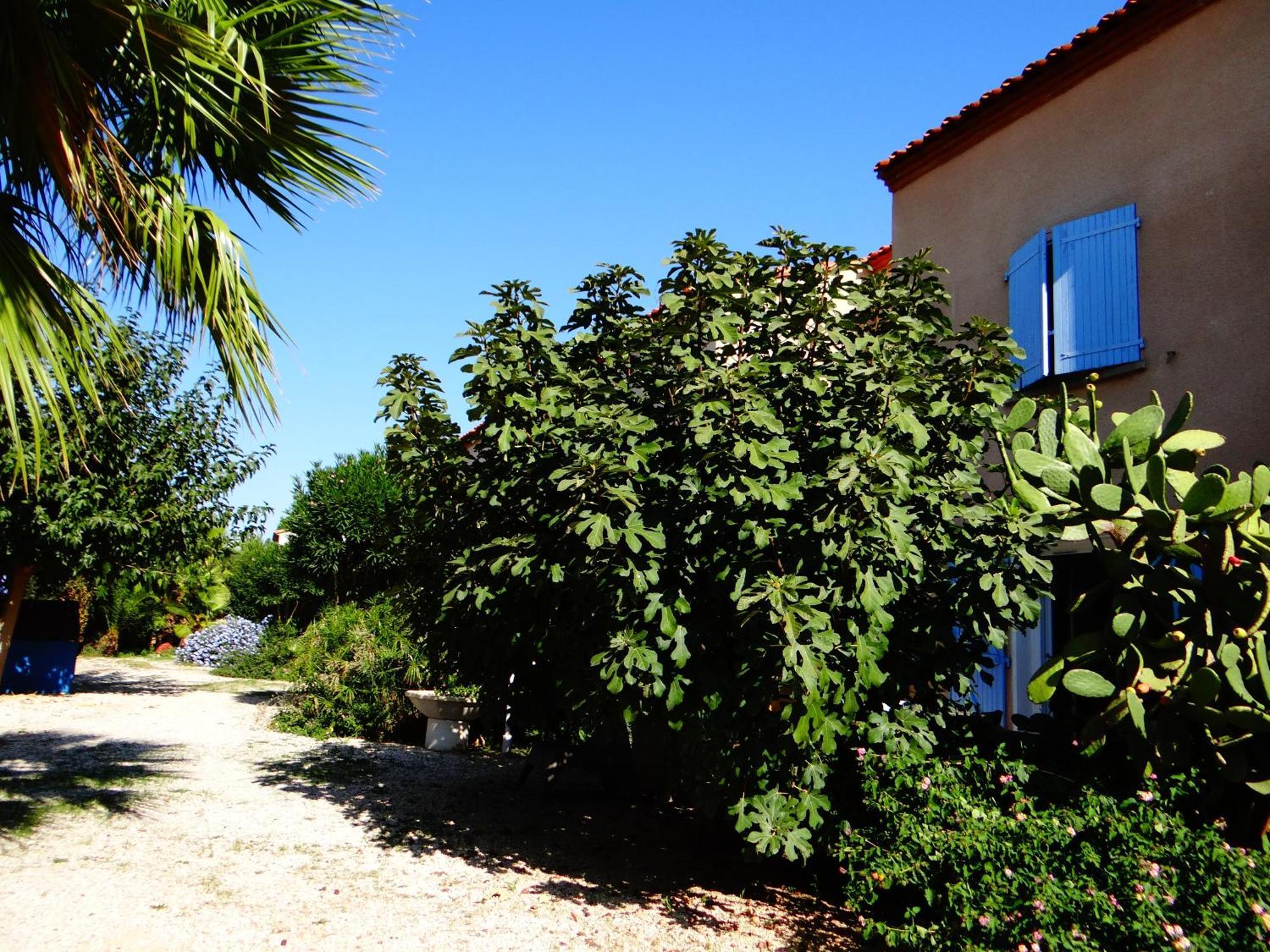 Residence L'Orangeraie-2-Claira 66530 Exteriér fotografie